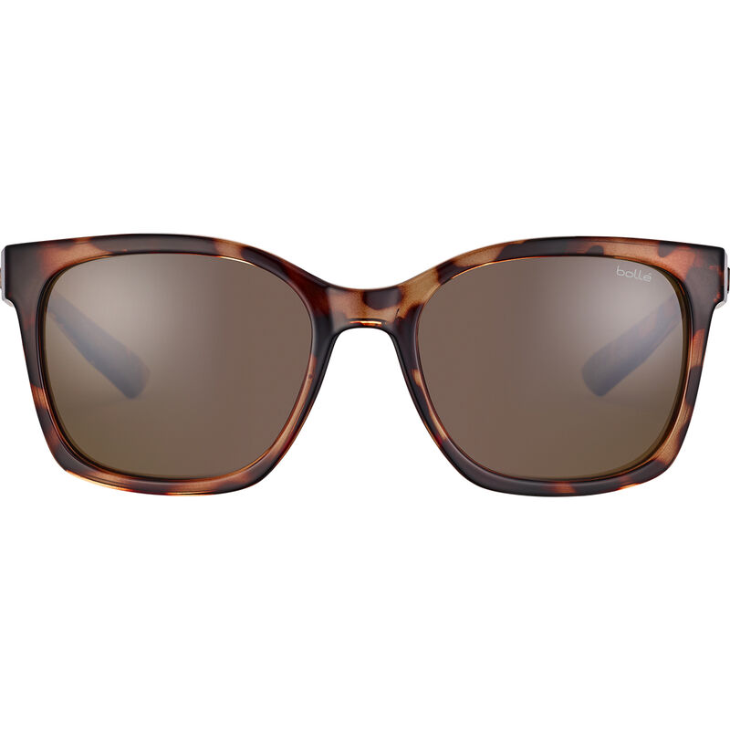 ADA, Shiny Tortoise-HD Polarized Brown, hi-res image number null